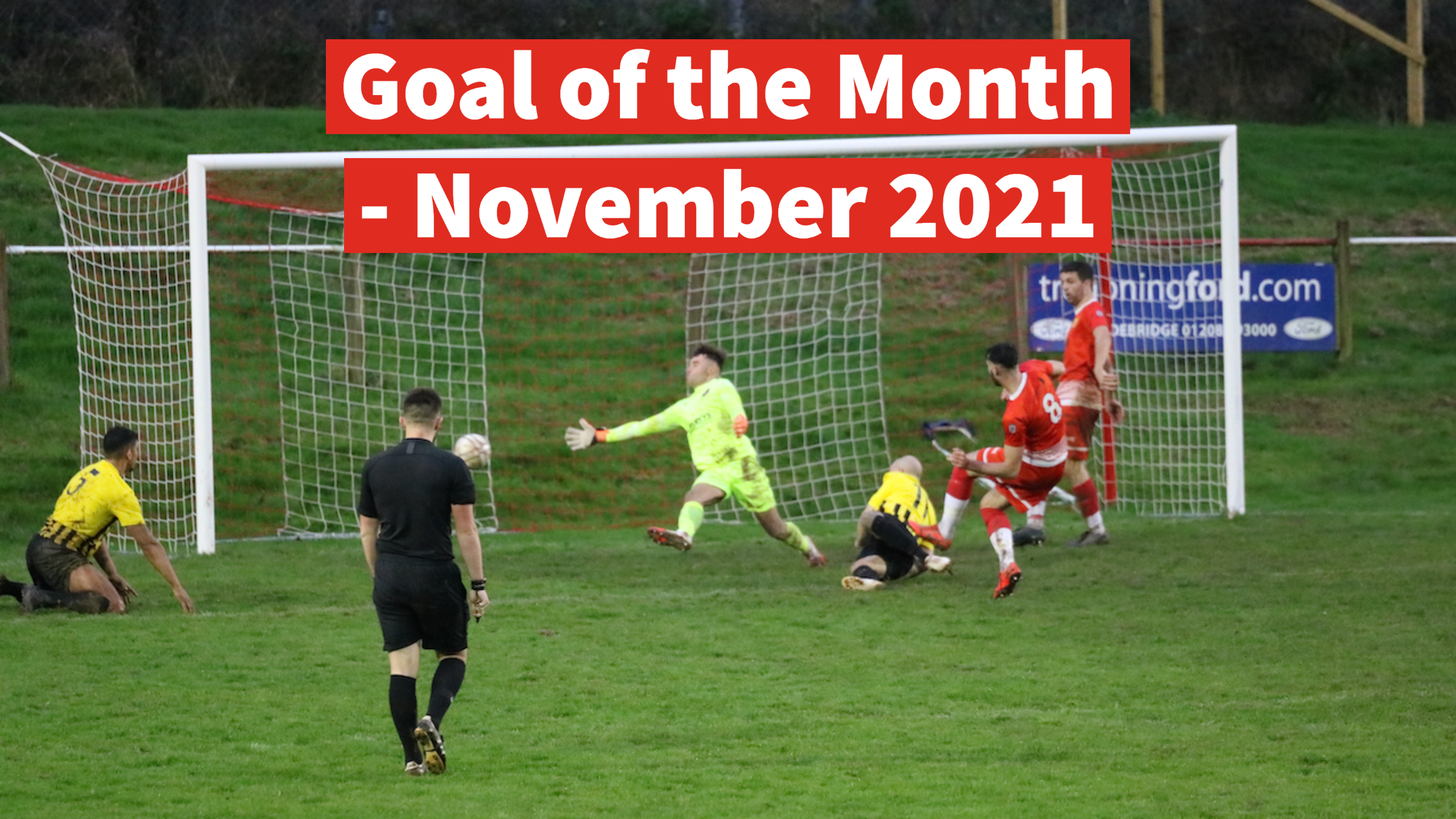 Goal of the Month - November 2021