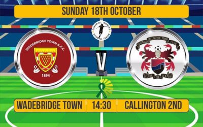 Match Report: Wadebridge Town Ladies 0 v 3 Callington LFC 2nds
