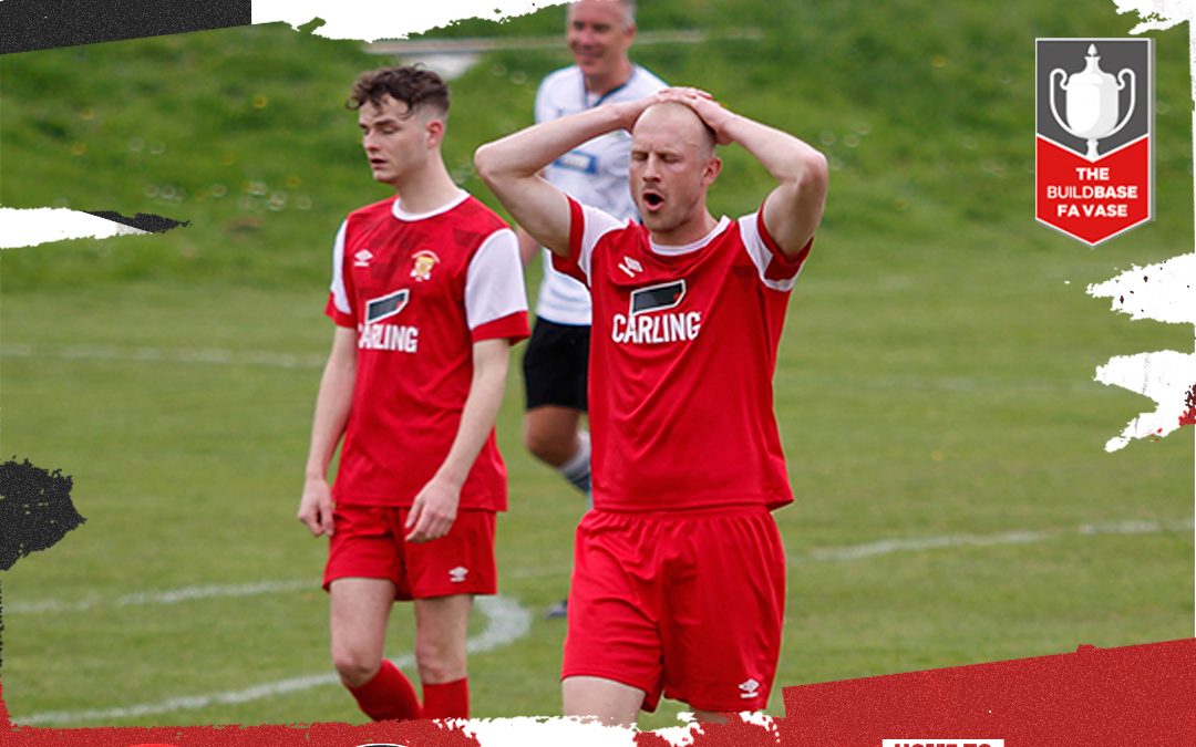 From the Dugout (Cullompton Home in Vase)
