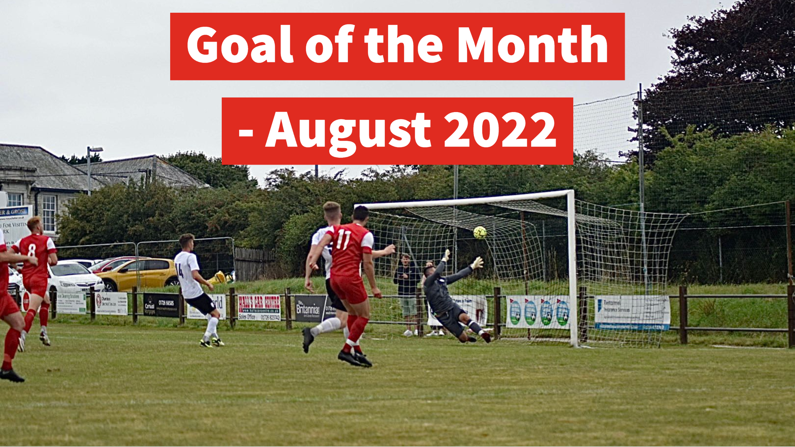 Goal of the Month - August 2022