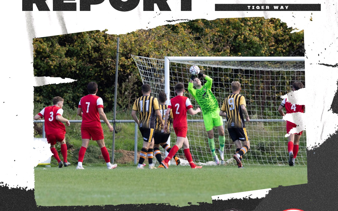 Match Report: Axminster Town 3 v 1 Wadebridge Town