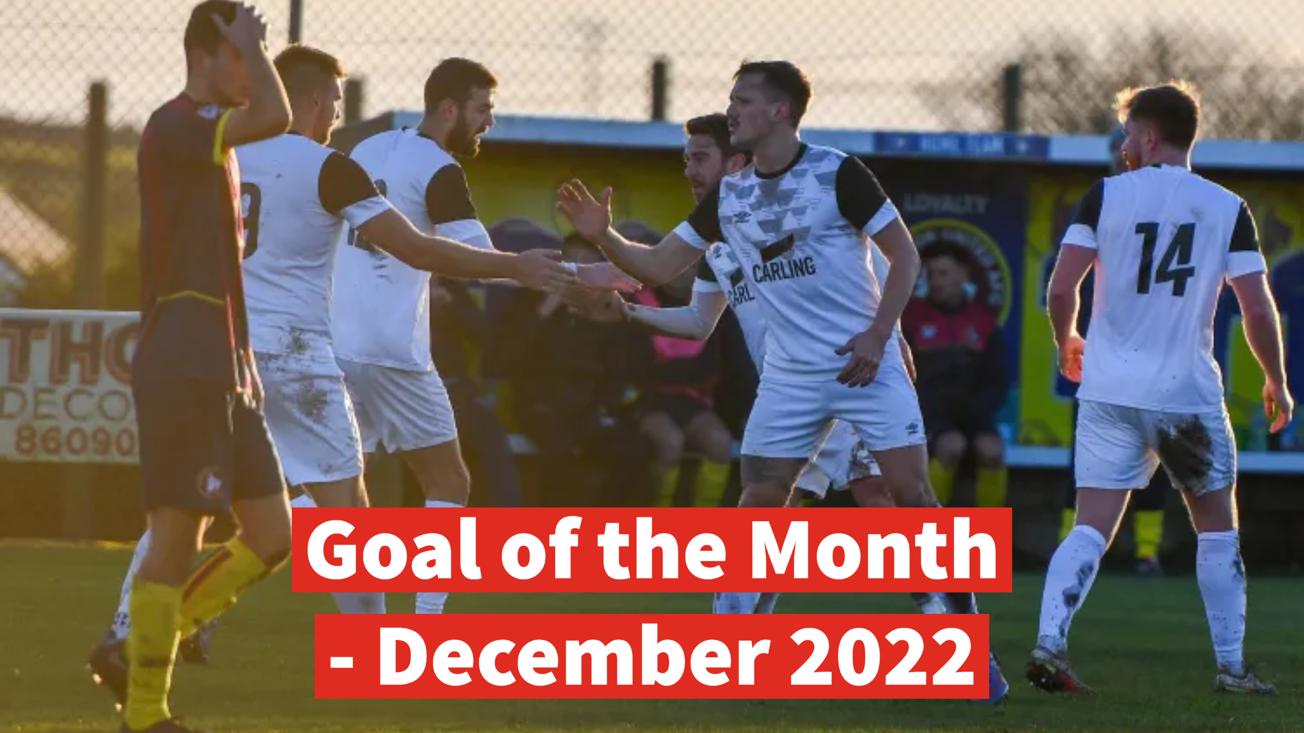 Goal of the Month - December 2022