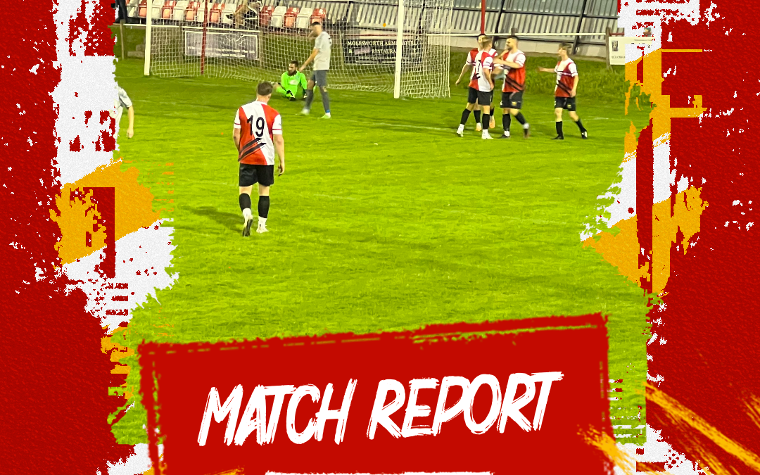 Match Report: Wadebridge Town 6 v 2 St Dennis